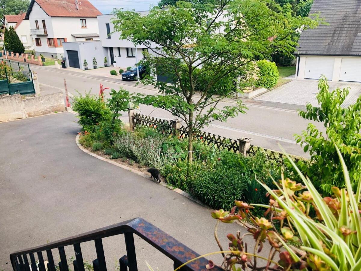 Gite Du Ried Bischwiller 외부 사진
