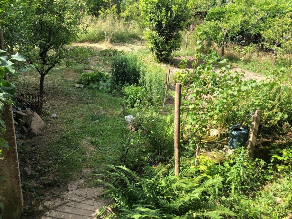 Gite Du Ried Bischwiller 외부 사진
