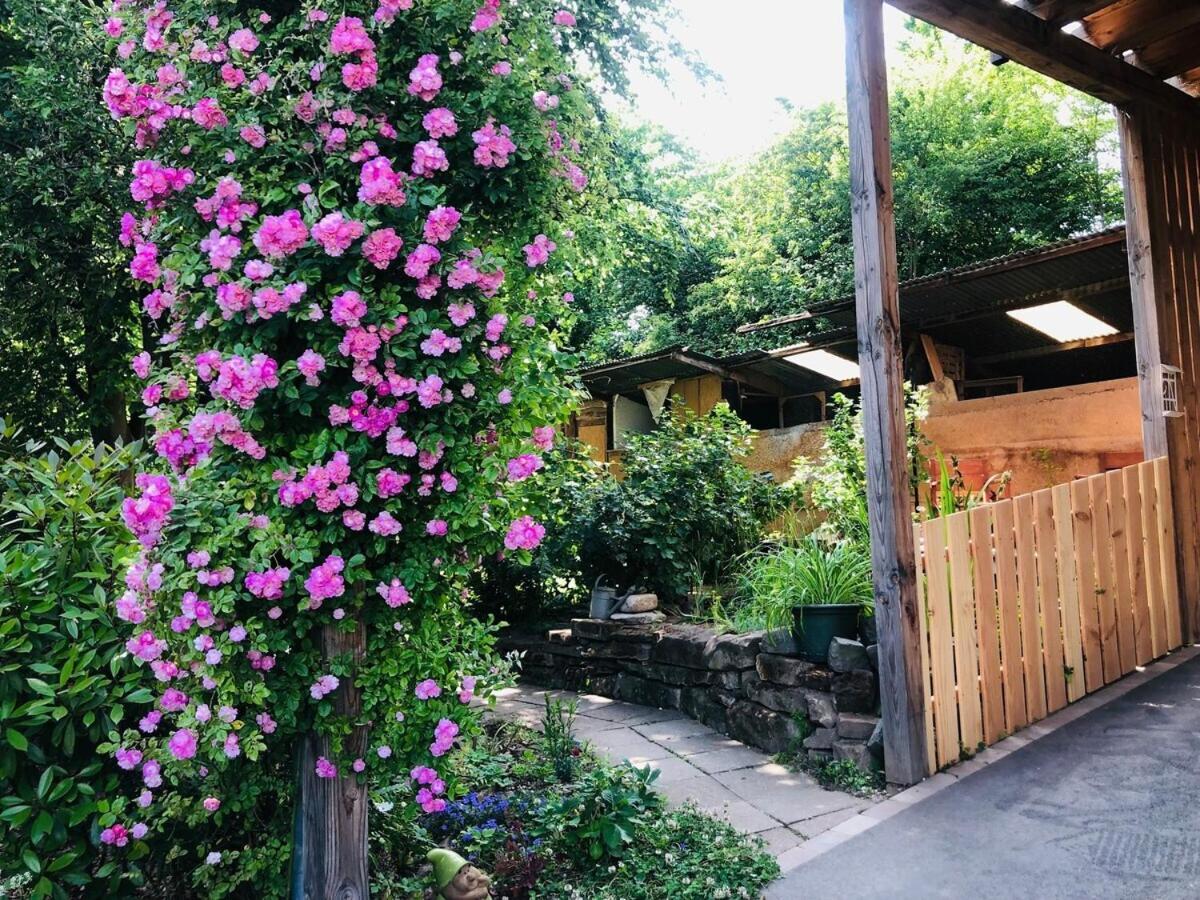 Gite Du Ried Bischwiller 외부 사진